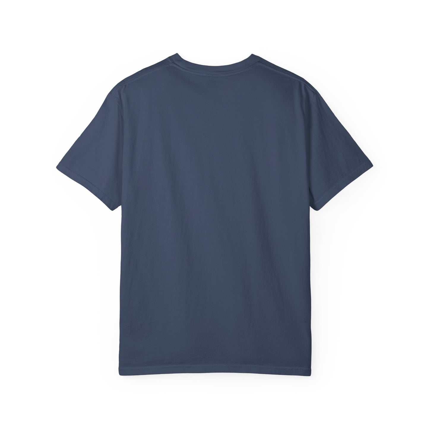 LOUIS XIV PLAYTIME - Softstyle vintage soft T‑Shirt —  Album Art Graphic Tee