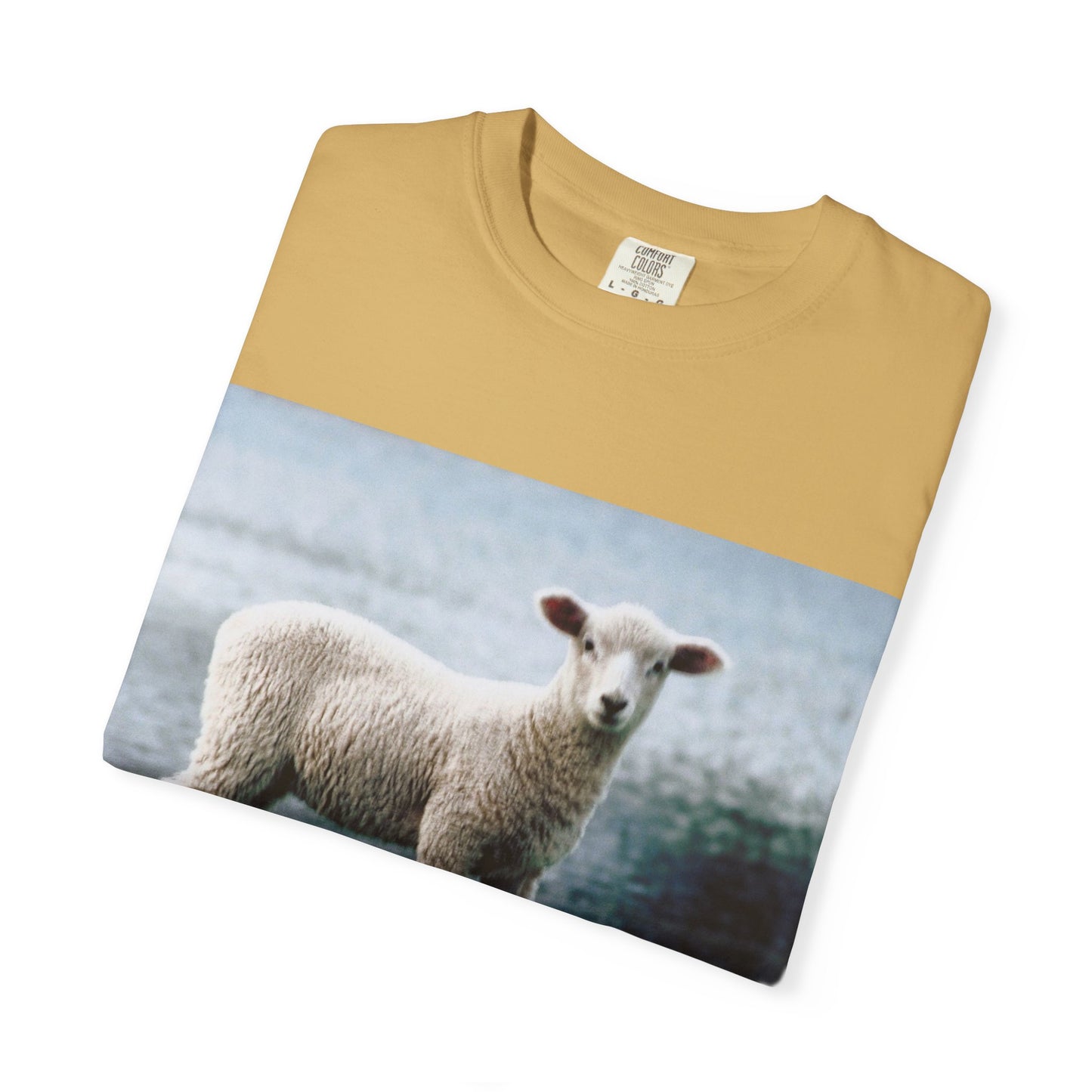 LOUIS XIV Misguided Sheep vintage softstyle  T-Shirt