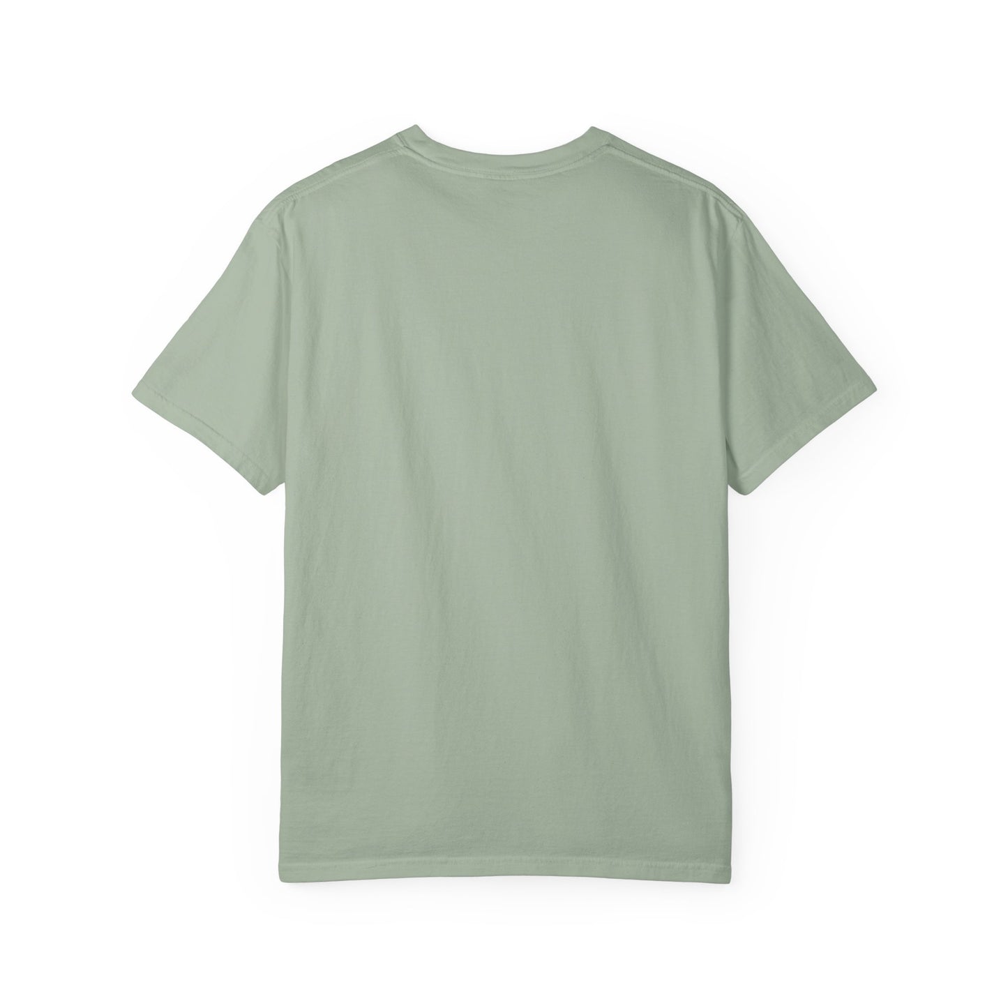 LOUIS XIV PLAYTIME - Softstyle vintage soft T‑Shirt —  Album Art Graphic Tee