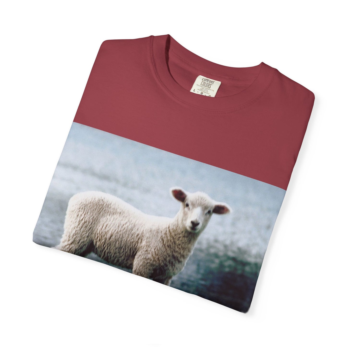 LOUIS XIV Misguided Sheep vintage softstyle  T-Shirt