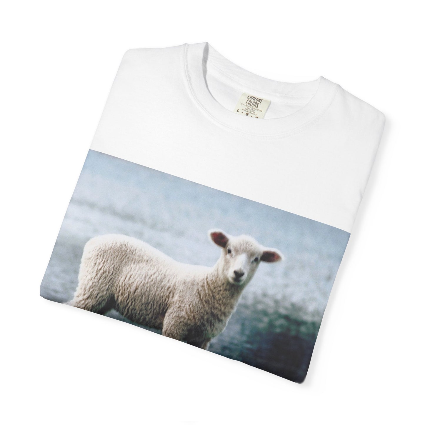 LOUIS XIV Misguided Sheep vintage softstyle  T-Shirt
