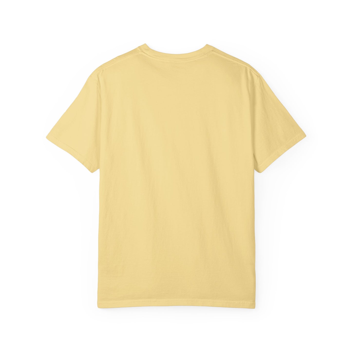 LOUIS XIV PLAYTIME - Softstyle vintage soft T‑Shirt —  Album Art Graphic Tee
