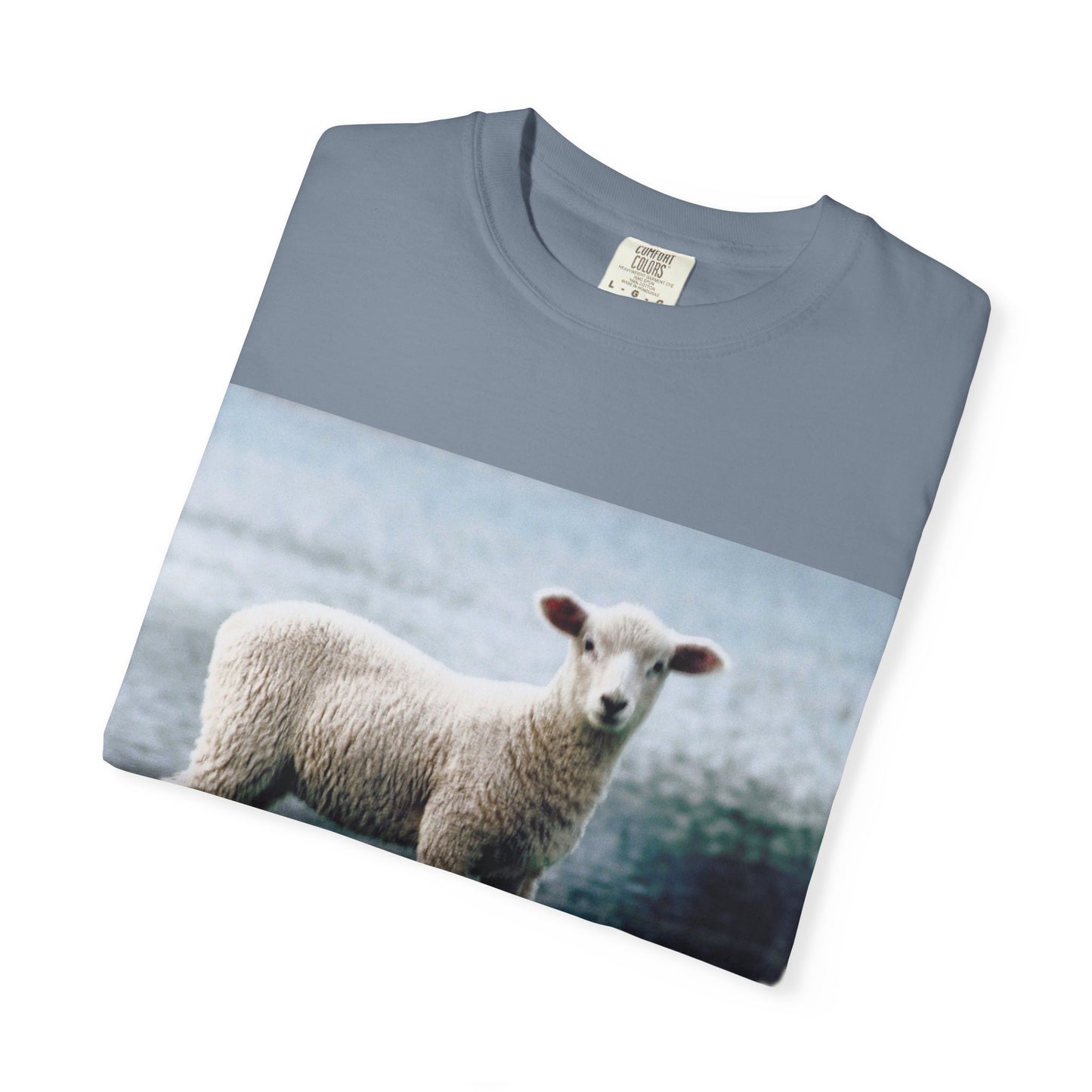 LOUIS XIV Misguided Sheep vintage softstyle  T-Shirt