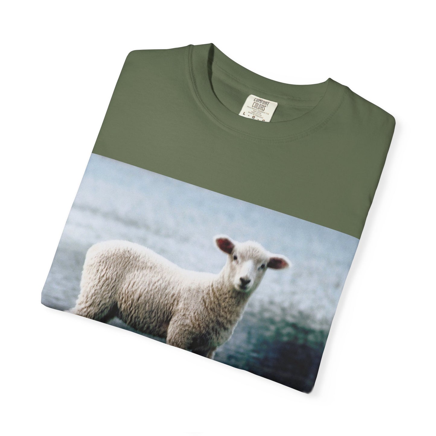 LOUIS XIV Misguided Sheep vintage softstyle  T-Shirt