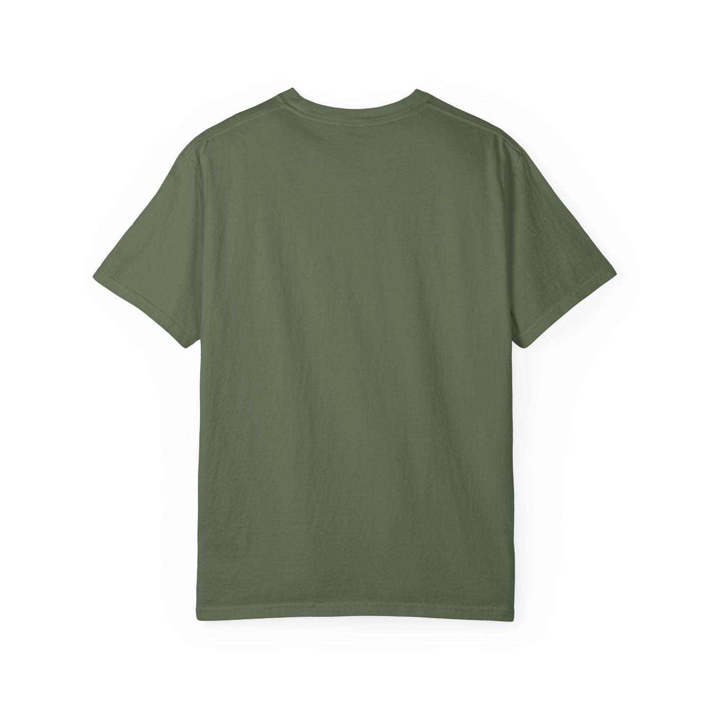 LOUIS XIV PLAYTIME - Softstyle vintage soft T‑Shirt —  Album Art Graphic Tee