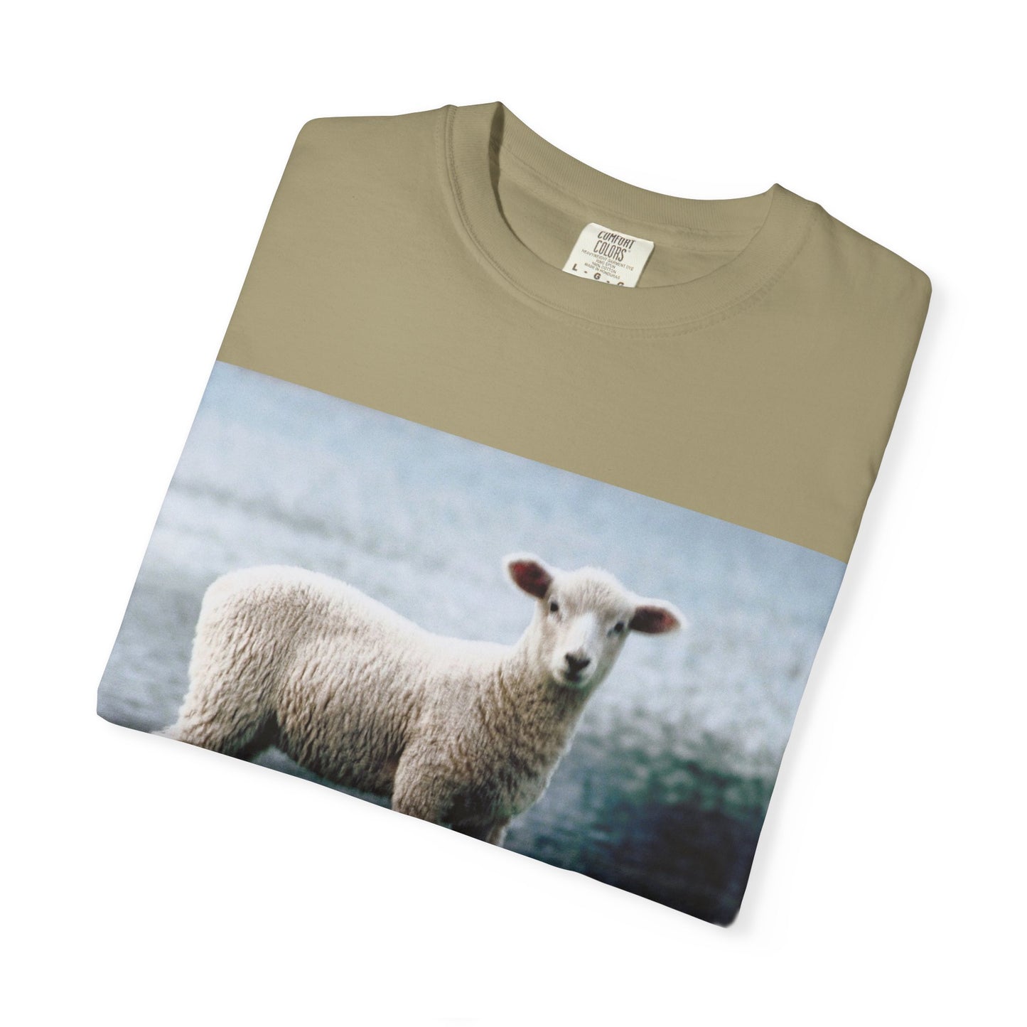 LOUIS XIV Misguided Sheep vintage softstyle  T-Shirt