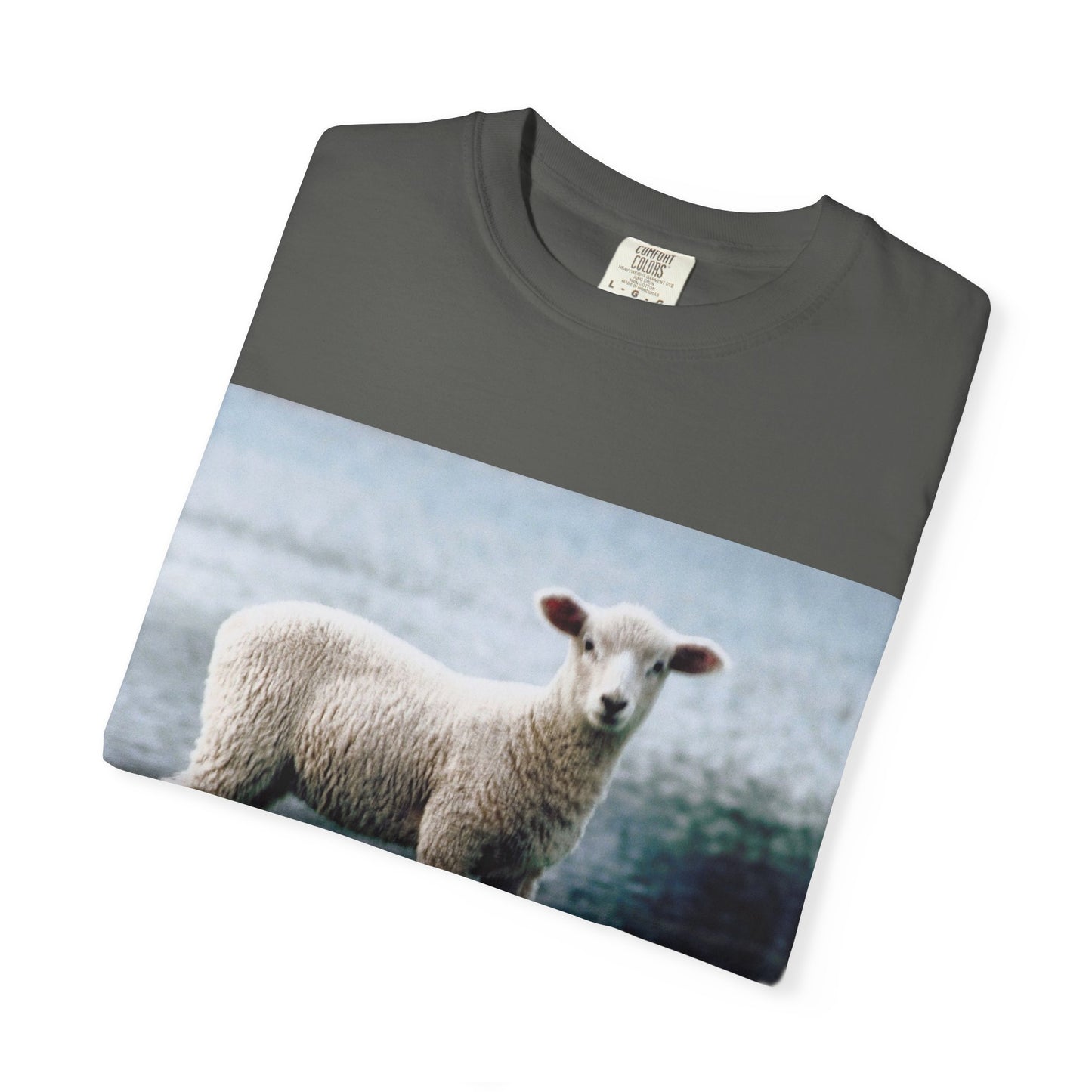 LOUIS XIV Misguided Sheep vintage softstyle  T-Shirt