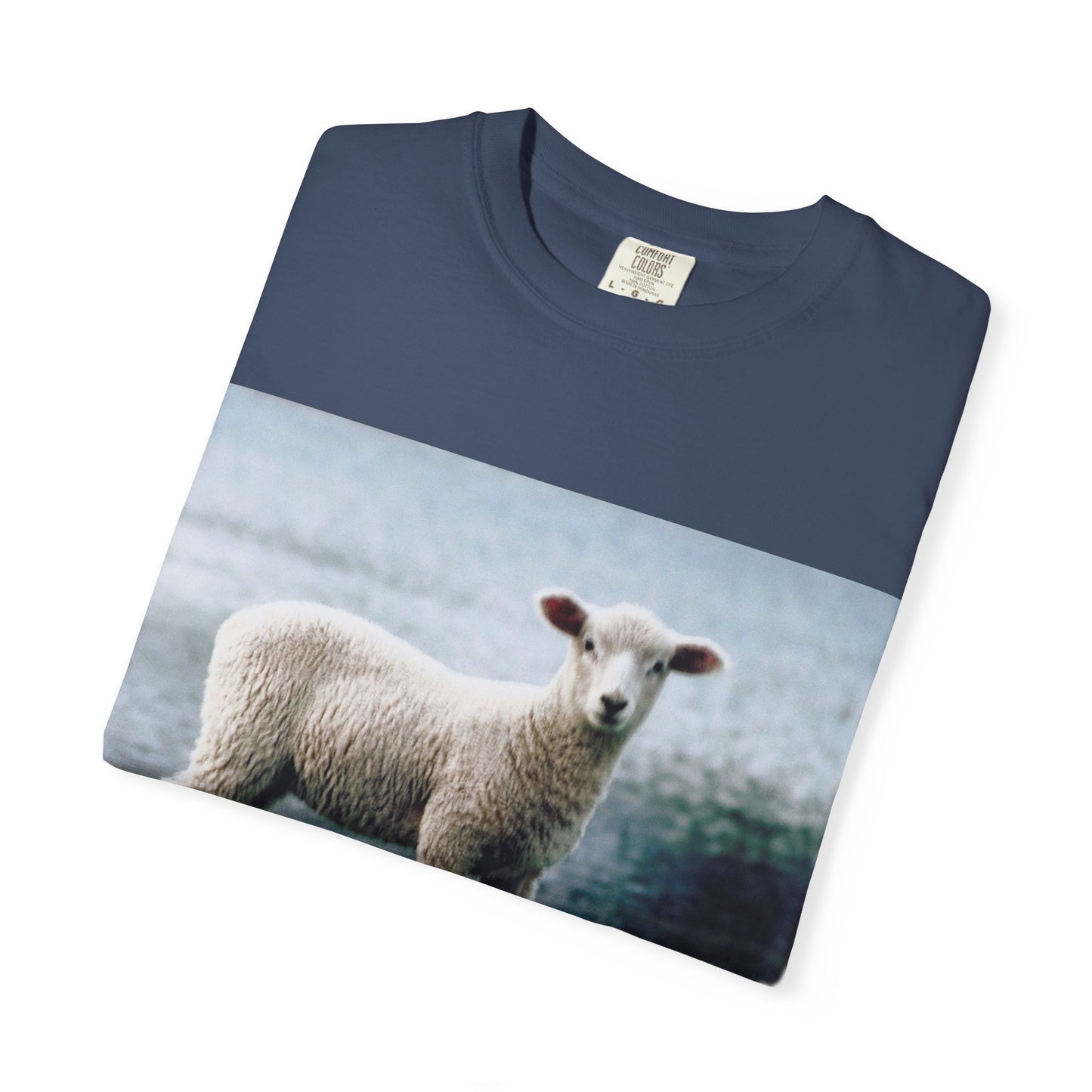 LOUIS XIV Misguided Sheep vintage softstyle  T-Shirt