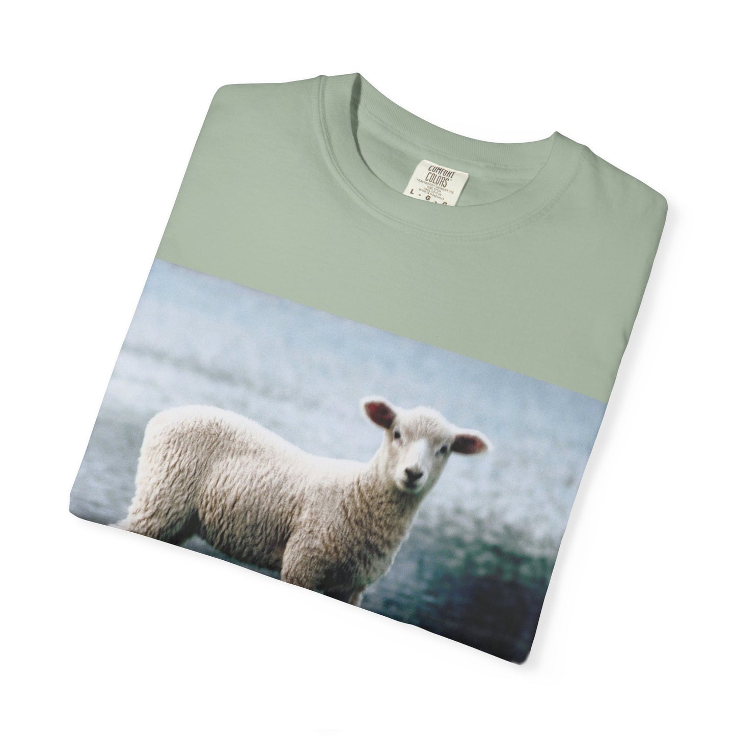 LOUIS XIV Misguided Sheep vintage softstyle  T-Shirt