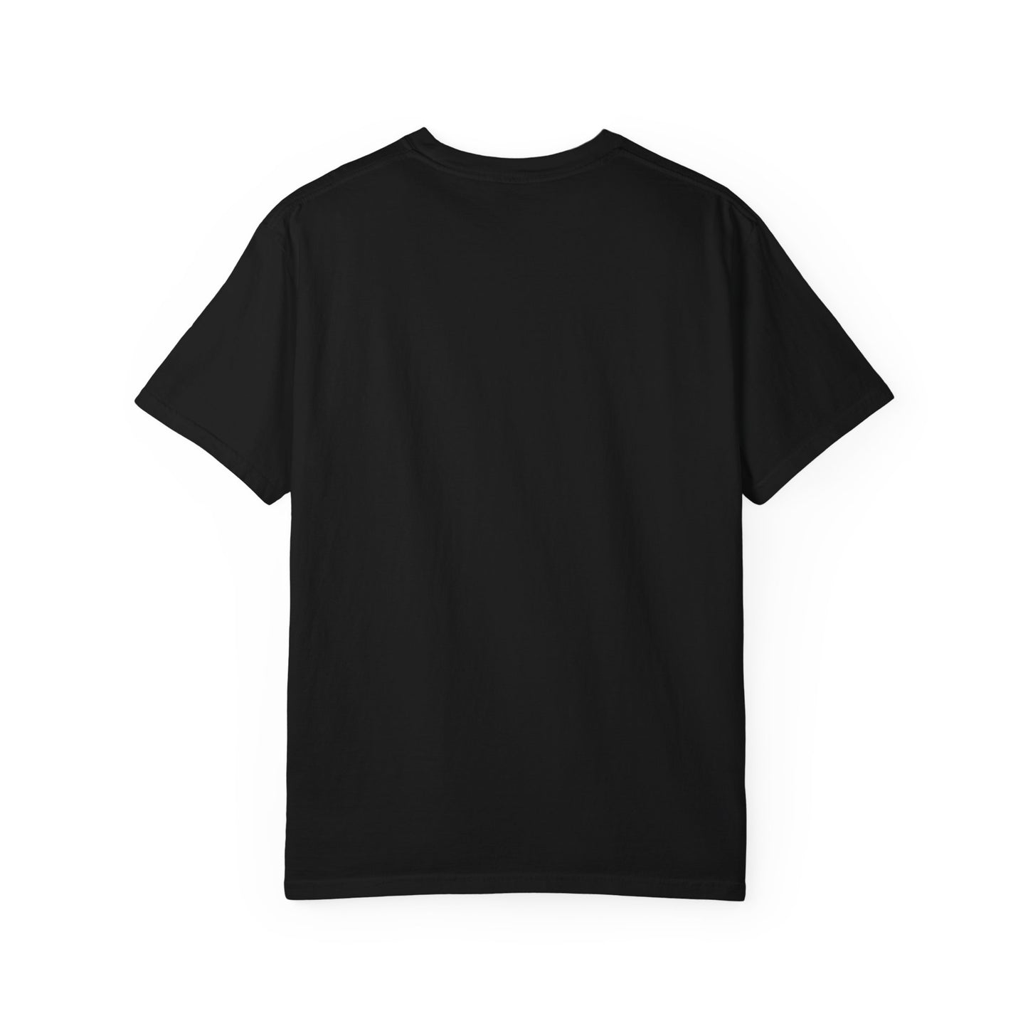 Jason Hill -Refractions in the Sand -SOFTSTYLE AND FADED Graphic T-Shirt — Vintage Rock Band Poster Tee